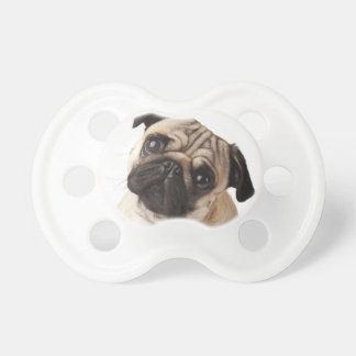 Pug Pacifier