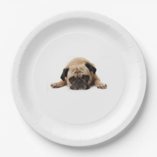 PUG PAPER PLATE