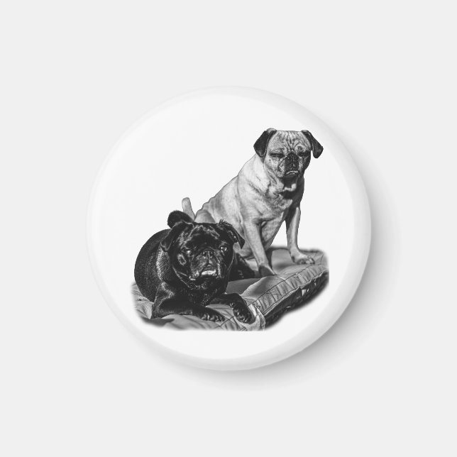 Pug Pause, Shaded Magnet (Front)