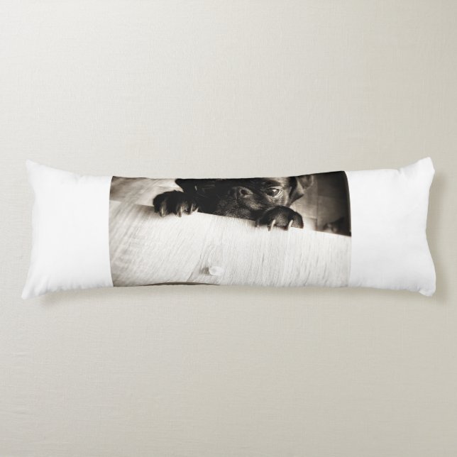 pug peeking in bw body cushion (Front)