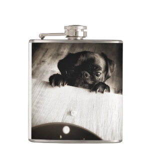 pug peeking in bw hip flask