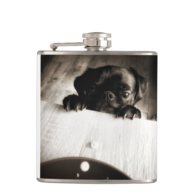 pug peeking in bw hip flask (Front)