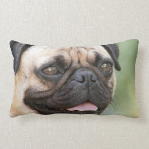 Pug Pillow