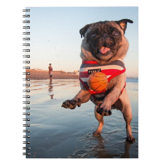 Pug Playing Ball on Beach Notebook (Front)