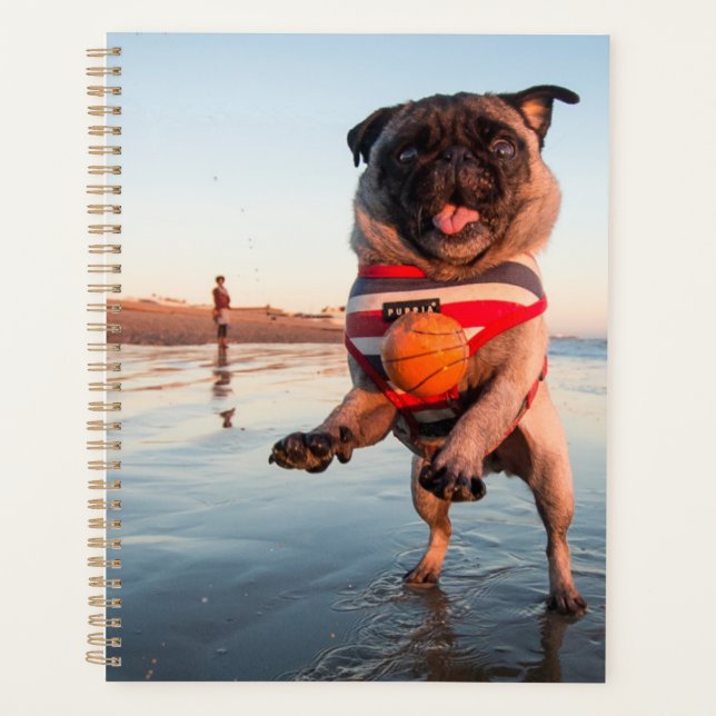 Pug Playing Ball on Beach Planner (Front)