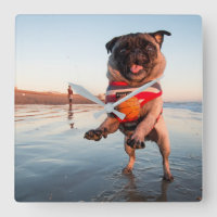 Pug Playing Ball on Beach