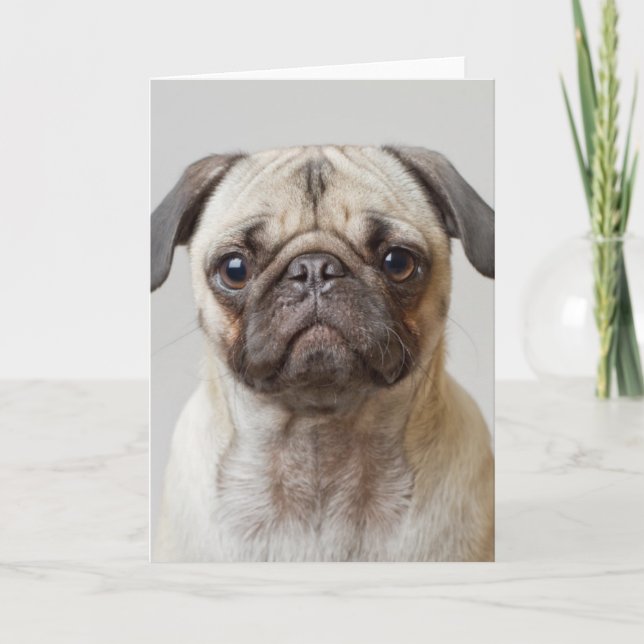 Pug Portrait Card (Front)