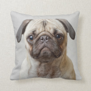 Pug Portrait Cushion