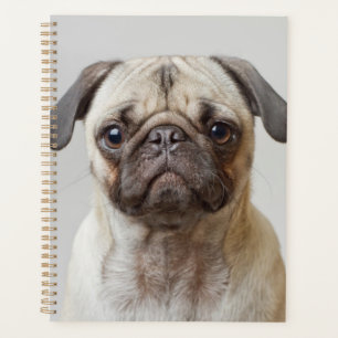 Pug Portrait Planner