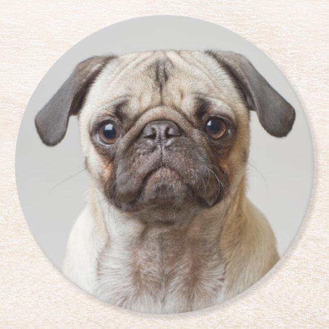 Pug Portrait Round Paper Coaster (Front)