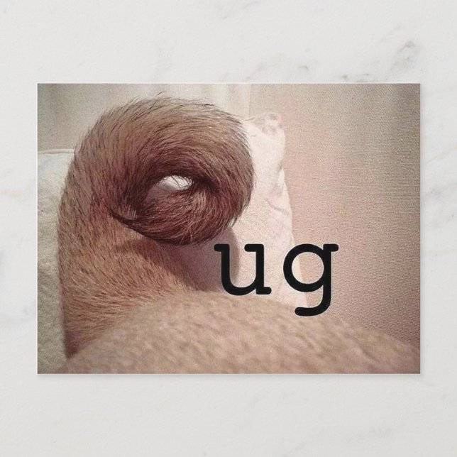 Pug Postcard (Front)