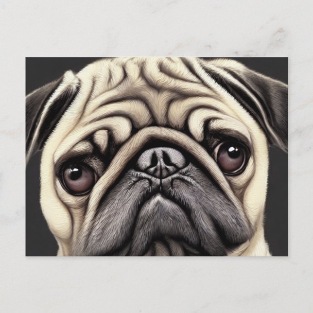 Pug Postcard (Front)