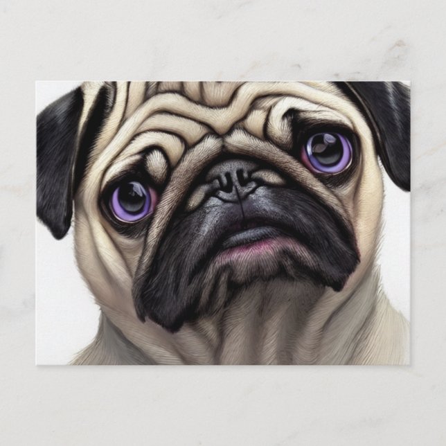 Pug Postcard (Front)