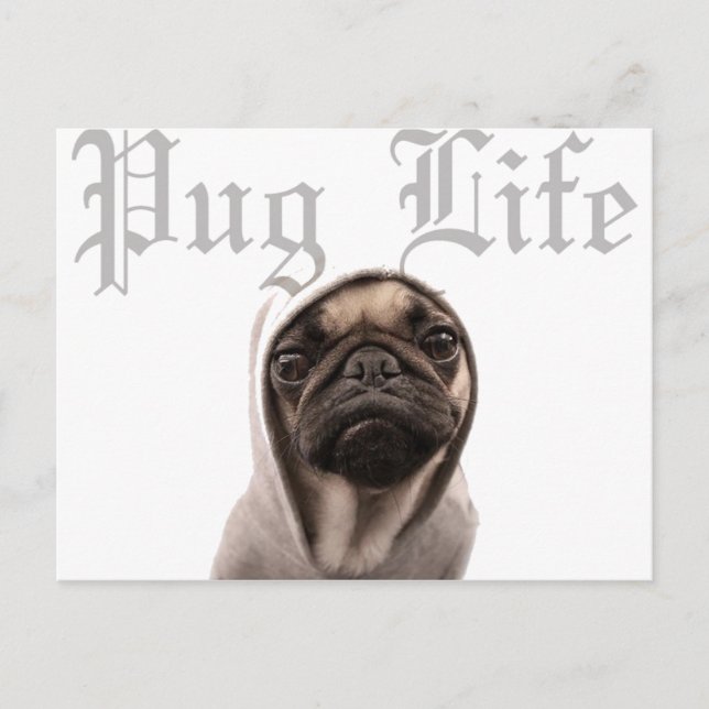 Pug Postcard (Front)