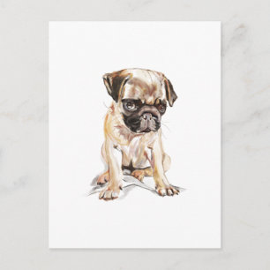 Pug Postcard – Hand Drawn Dog Illustration