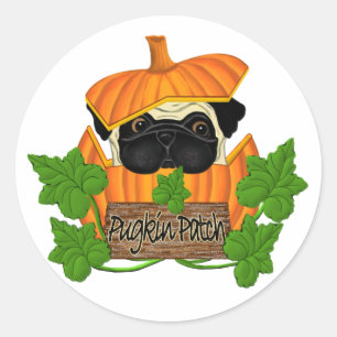 Pug Pumpkin Patch Classic Round Sticker