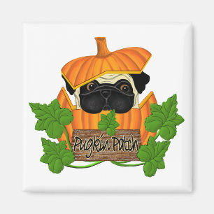 Pug Pumpkin Patch Magnet