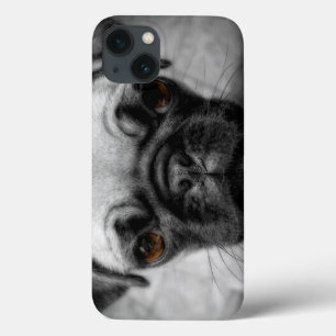Pug Pup iPhone 13 Case