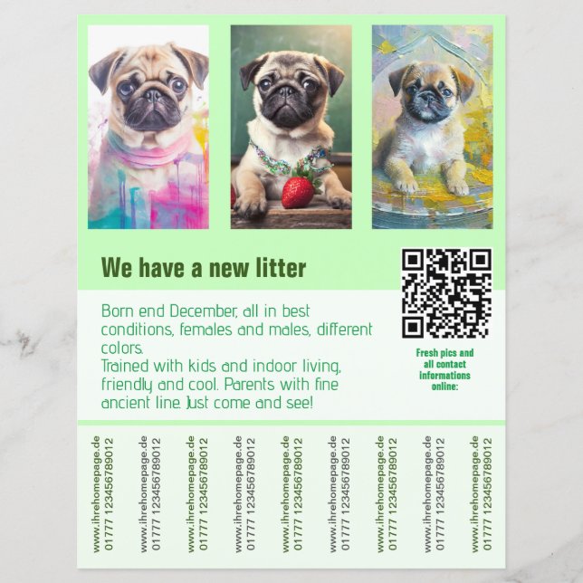 Pug puppies for sale flyer template QR code (Front)
