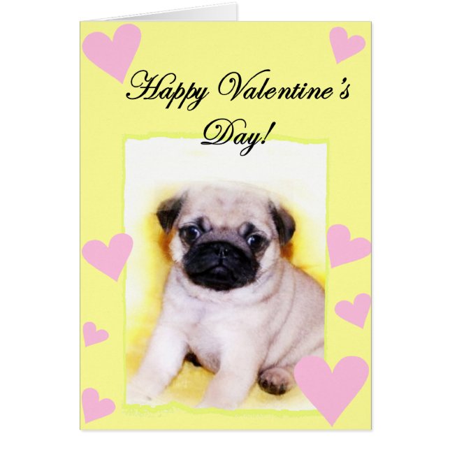 Pug Puppy (Front)
