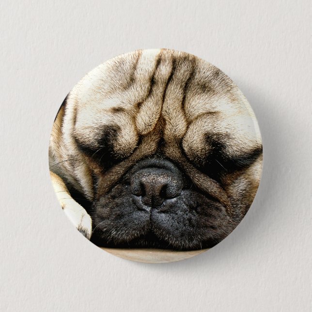 Pug puppy 6 cm round badge (Front)