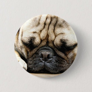 Pug puppy 6 cm round badge