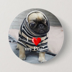 Pug Puppy 7.5 Cm Round Badge