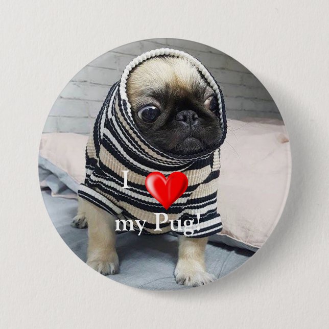 Pug Puppy 7.5 Cm Round Badge (Front)