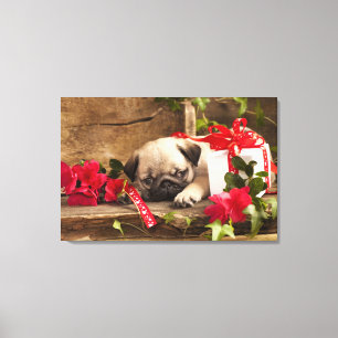 Pug Puppy and Gift  Box Canvas Print