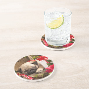 Pug Puppy and Gift Box Coaster