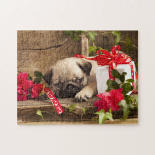 Pug Puppy and Gift  Box Jigsaw Puzzle