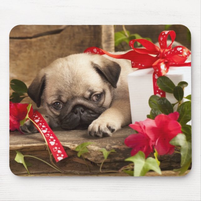 Pug Puppy and Gift  Box Mouse Pad (Front)