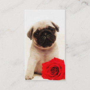 Pug puppy and red rose business card