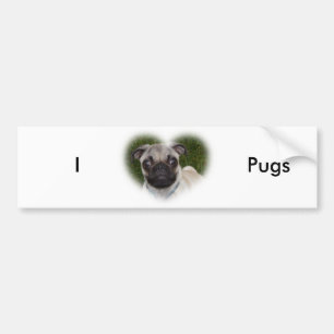 Pug Puppy Bumper Sticker