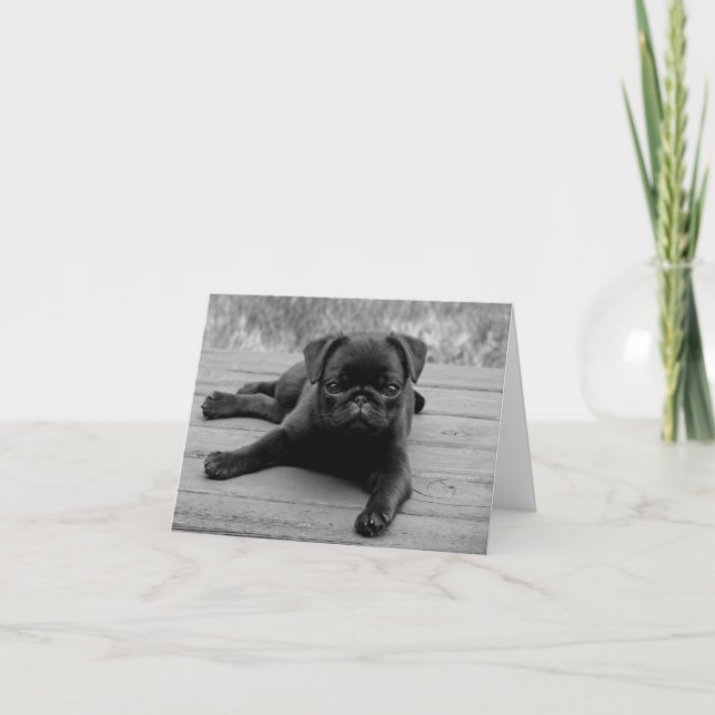 Pug Puppy Dog Black & White Blank  Note Card (Front)