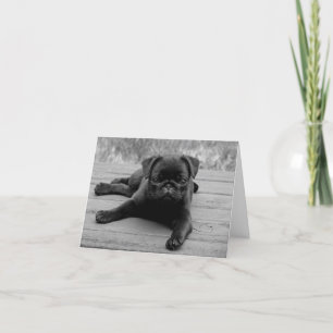 Pug Puppy Dog Black & White Blank Note Card