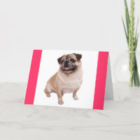 Pug Puppy Dog Blank Greeting Pink Note Card