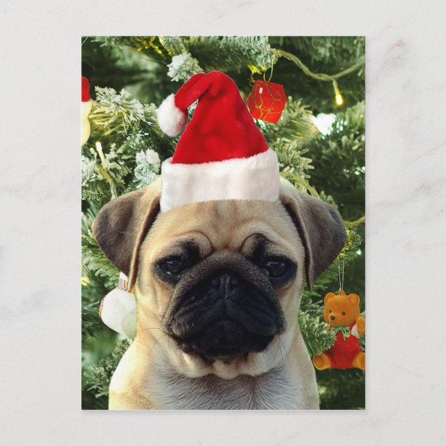 Pug Puppy Dog Christmas Tree Ornaments Snowman Holiday Postcard (Front)