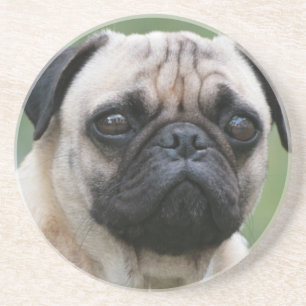 Pug Puppy Dog Coaster