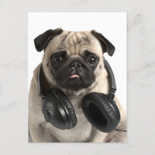 Pug Puppy Dog Greeting Postcard