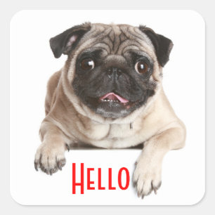 Pug Puppy Dog Hello Greeting Stickers