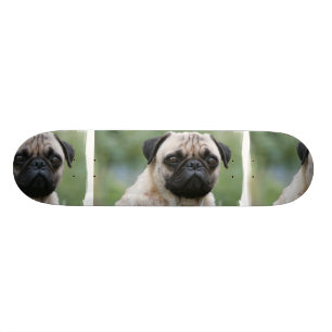 Pug Puppy Dog Skateboard