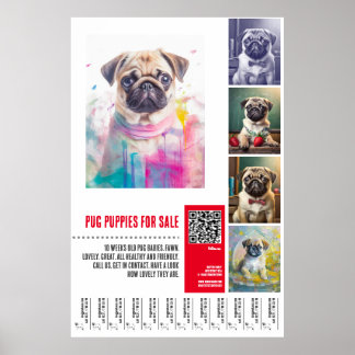 Pug puppy for sale poster templates