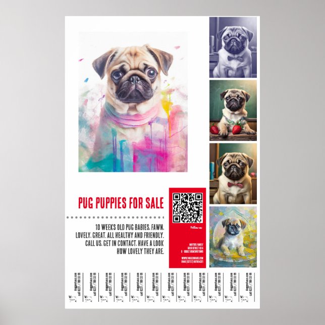 Pug puppy for sale poster templates (Front)