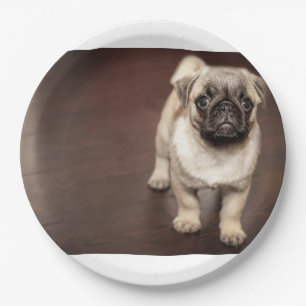 pug-puppy in sepia paper plate