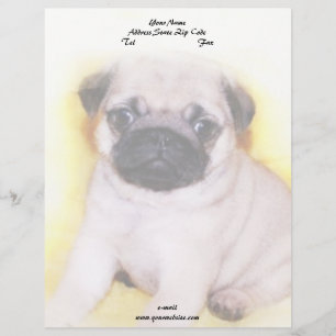 Pug Puppy Letterhead Template