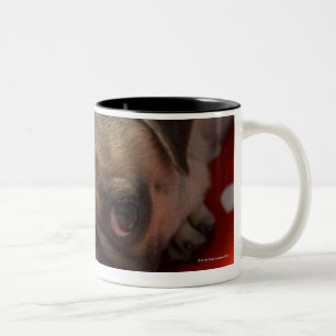 Pug puppy lying on bed, close up Two-Tone coffee mug
