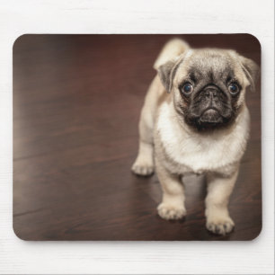 Pug Puppy Mouse Pad