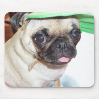 pug puppy mouse pad