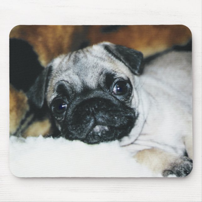 Pug Puppy Mousepad (Front)